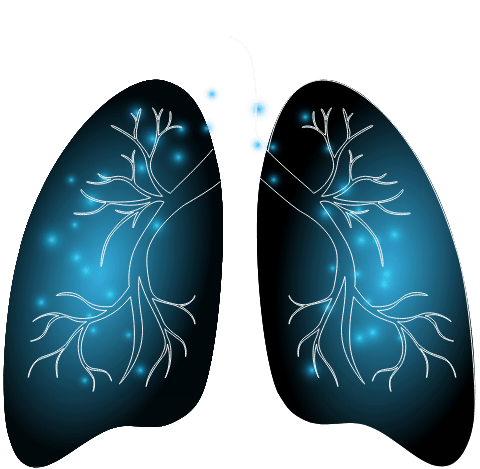 lungs-m.png