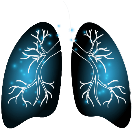 lungs.png